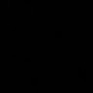 Meet your Posher, Lexi